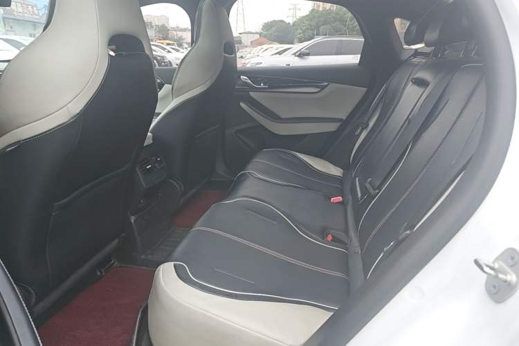 Used BYD Qin PLUS 2021 EV 500KM Luxury Model Left Rear Seat