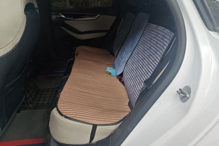 Used BYD Qin PLUS 2021 EV 510KM Commuter Edition Left Rear Seat