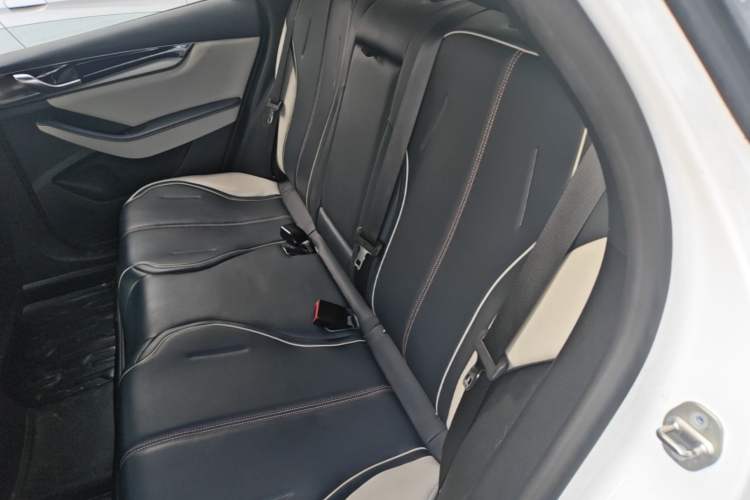 Used BYD Qin PLUS 2021 EV 500KM Premium Model Left Rear Seat