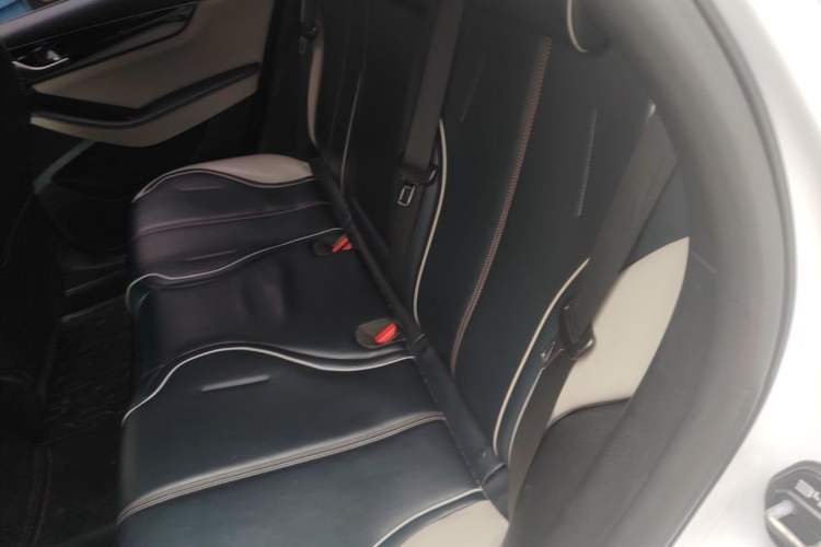 Used BYD Qin PLUS 2021 DM-i 120KM Prestige Model Left Rear Seat