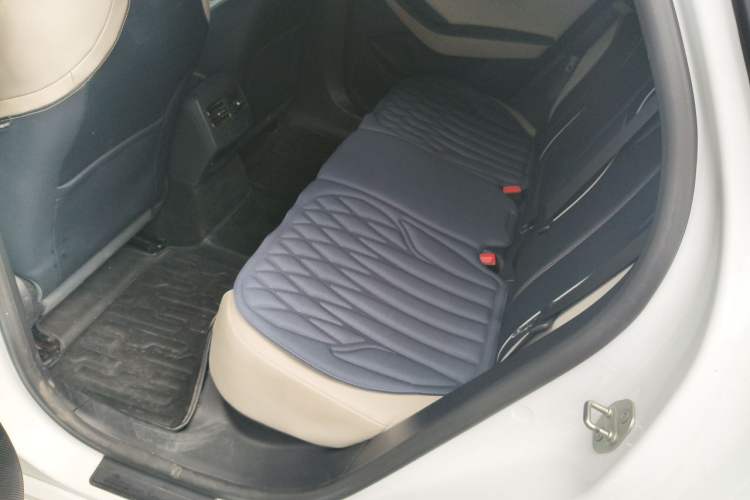 Used BYD Qin PLUS 2021 EV 500KM Luxury Model Left Rear Seat