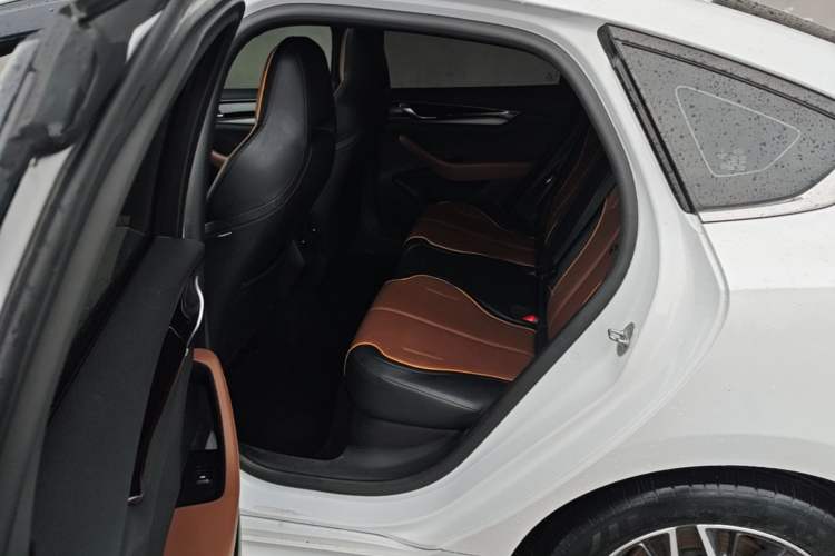 Used BYD Qin PLUS 2021 DM-i 120KM Prestige Model Left Rear Seat