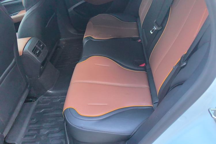 Used BYD Qin PLUS 2021 DM-i 120KM Flagship Model Left Rear Seat