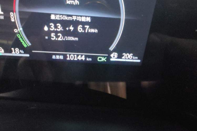 Used BYD Qin PLUS 2021 DM-i 55KM Prestige Model Odometer Close Up