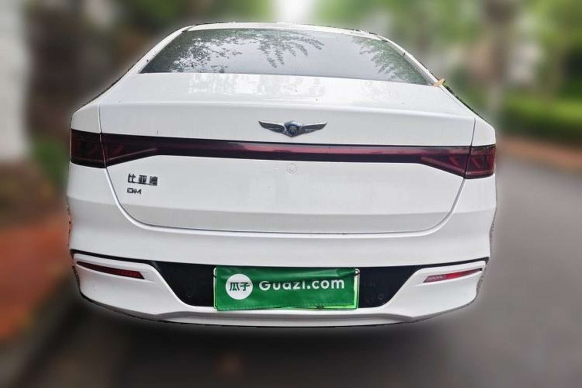 Used BYD Qin PLUS 2021 DM-i 55KM Flagship Model Rear