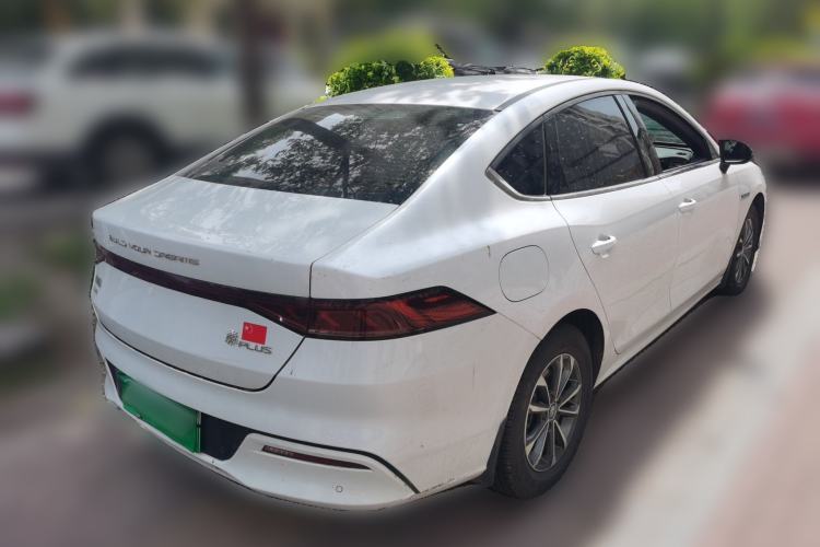 Used BYD Qin PLUS 2021 DM-i 55KM Prestige Model Rear Right 45 Deg