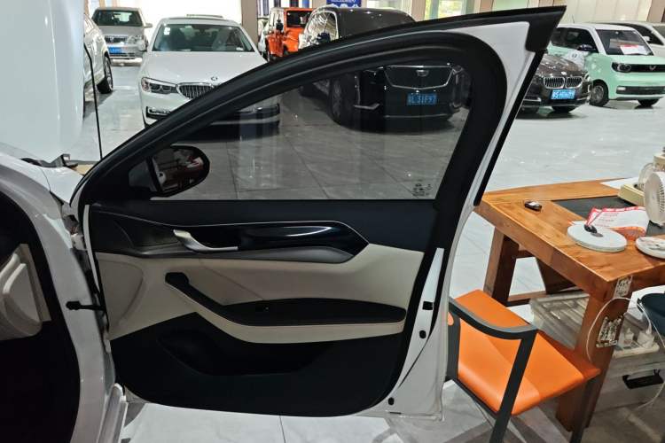 Used BYD Qin PLUS 2021 DM-i 55KM Flagship Model Right Front Door Interior