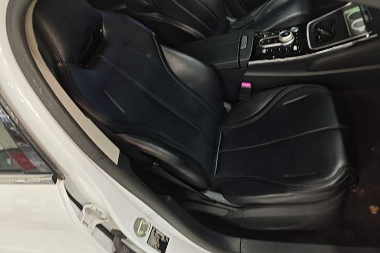 Used BYD Qin PLUS 2021 EV 420KM Commuter Edition Right Front Seat