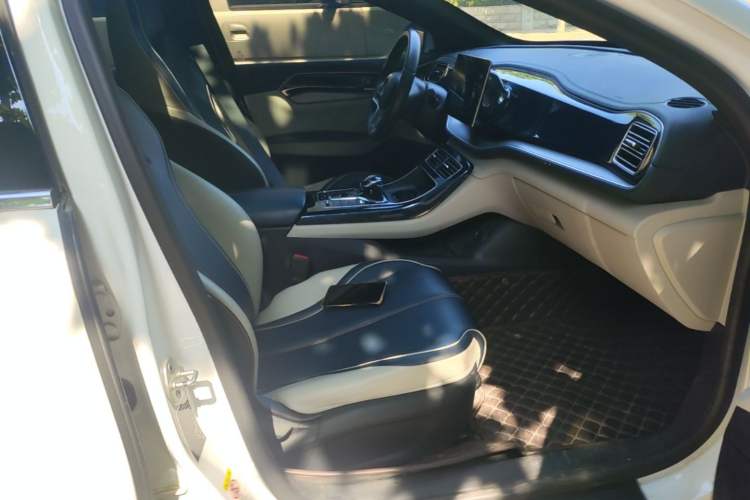 Used BYD Qin PLUS 2021 EV 500KM Luxury Model Right Front Seat