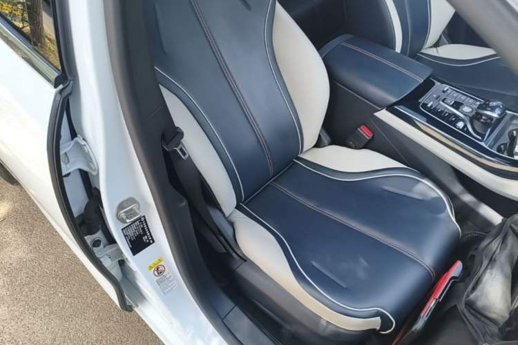 Used BYD Qin PLUS 2021 EV 500KM Luxury Model Right Front Seat