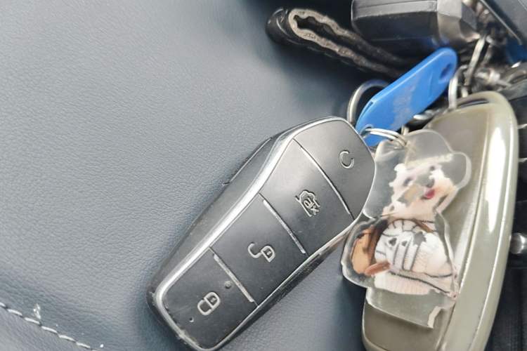 Used BYD Qin PLUS 2021 EV 400KM Luxury Model Vehicle Key