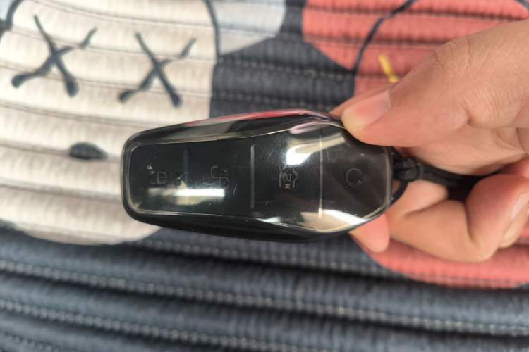 Used BYD Qin PLUS 2021 DM-i 55KM Flagship Model Vehicle Key