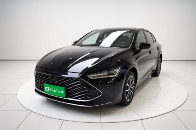 BYD Qin PLUS 2023 Champion Edition DM-i 55KM Leading Model usado
