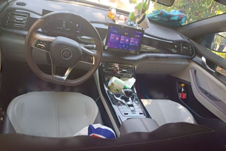 Used BYD Qin PLUS 2023 Champion Edition DM-i 55KM Leading Model Center Console
