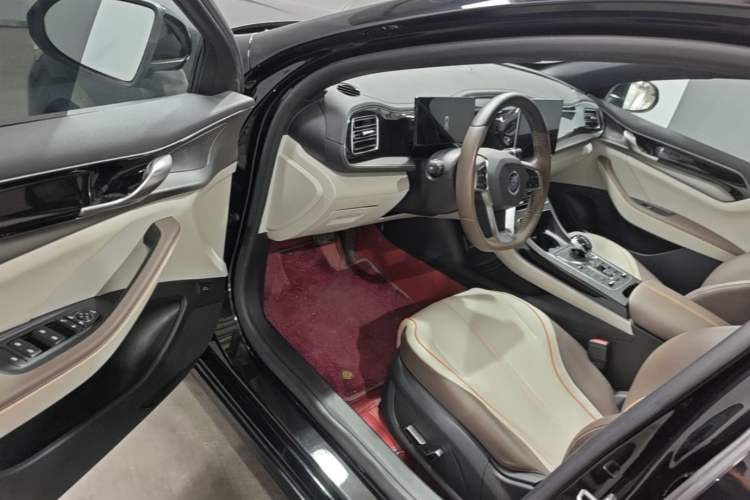 Used BYD Qin PLUS 2023 Champion Edition DM-i 55KM Superior Model Driver Seat