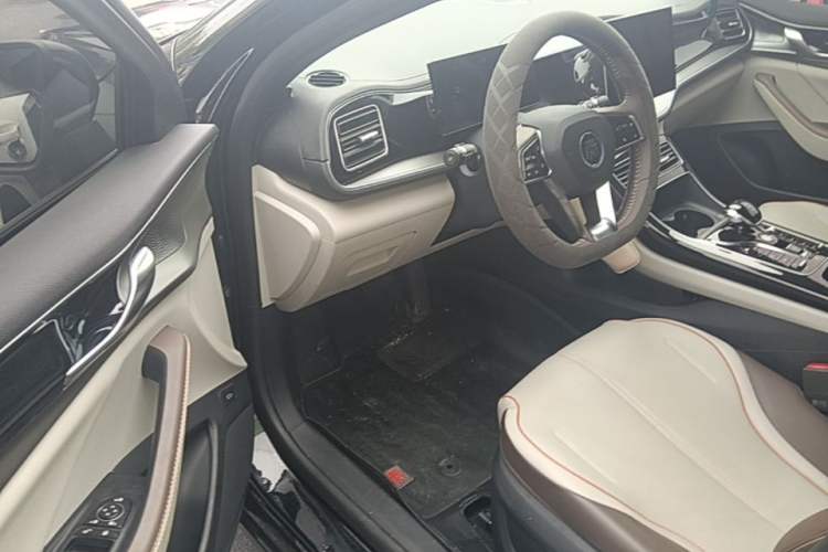 Used BYD Qin PLUS 2023 Champion Edition DM-i 55KM Superior Model Driver Seat