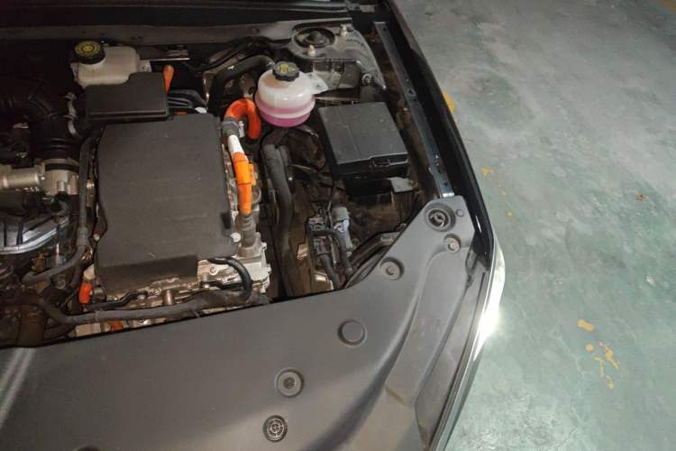 Used BYD Qin PLUS 2023 Champion Edition DM-i 55KM Leading Model Engine Bay Left