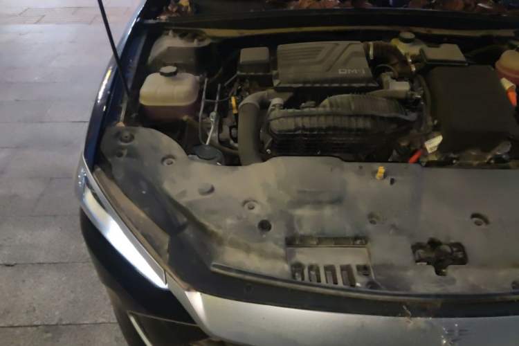 Used BYD Qin PLUS 2023 Champion Edition DM-i 55KM Leading Model Engine Bay Right