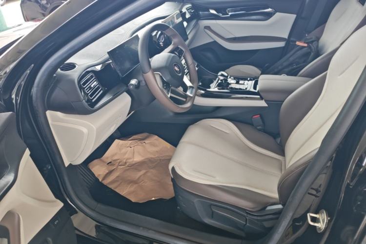 Used BYD Qin PLUS 2023 Champion Edition DM-i 55KM Leading Model Left Front Seat