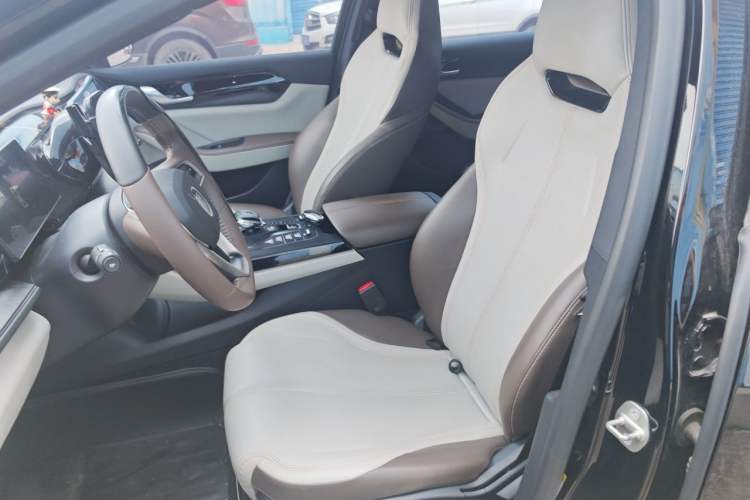 Used BYD Qin PLUS 2023 Champion Edition DM-i 55KM Leading Model Left Front Seat