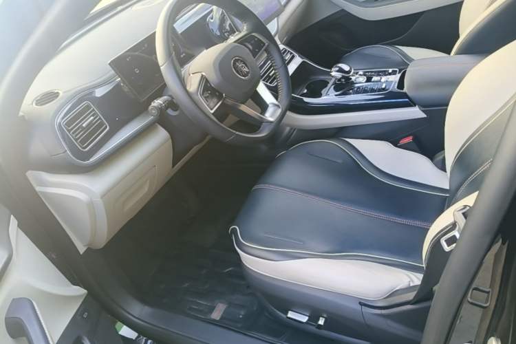 Used BYD Qin PLUS 2023 Champion Edition DM-i 55KM Superior Model Left Front Seat