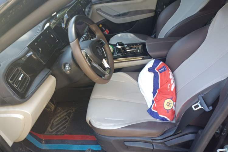 Used BYD Qin PLUS 2023 Champion Edition DM-i 55KM Leading Model Left Front Seat