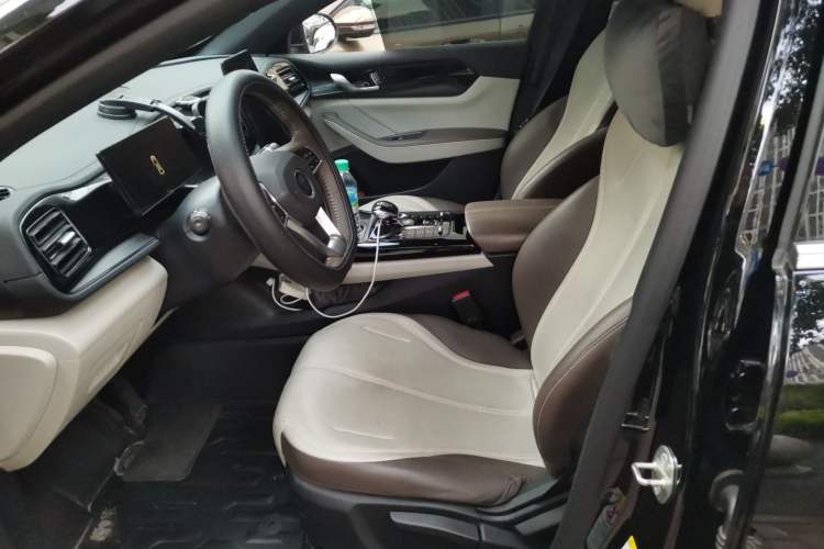 Used BYD Qin PLUS 2023 Champion Edition DM-i 55KM Leading Model Left Front Seat