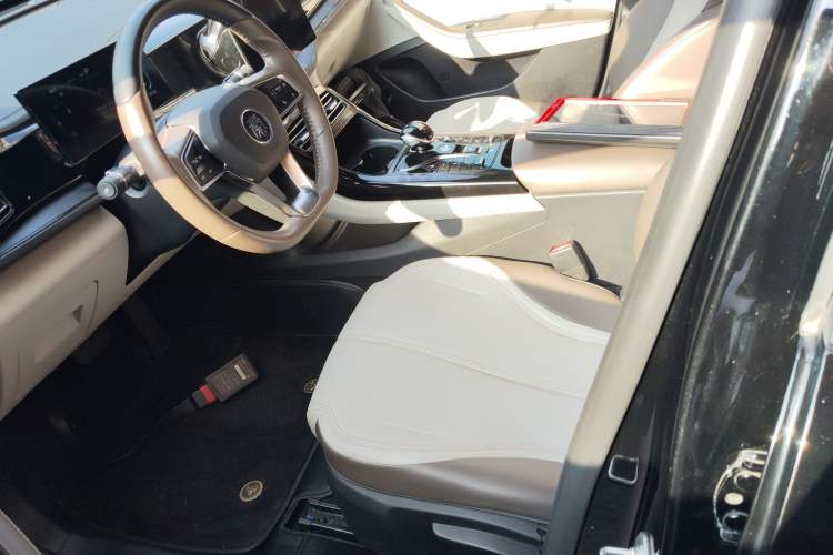 Used BYD Qin PLUS 2023 Champion Edition DM-i 55KM Leading Model Left Front Seat