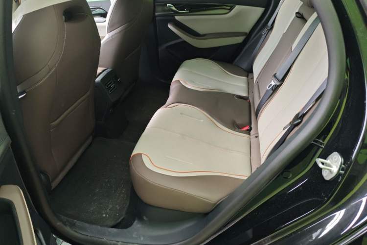 Used BYD Qin PLUS 2023 Champion Edition DM-i 120KM Leading Model Left Rear Seat