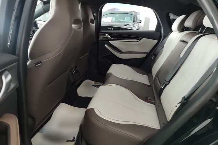 Used BYD Qin PLUS 2023 Champion Edition EV 510KM Leading Model Left Rear Seat