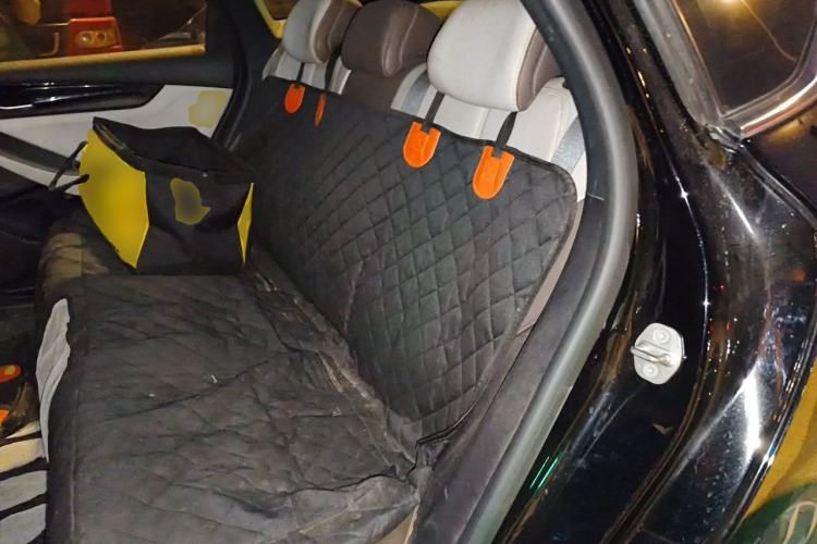 Used BYD Qin PLUS 2023 Champion Edition DM-i 55KM Leading Model Left Rear Seat