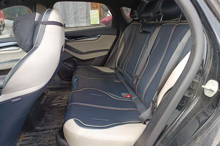 Used BYD Qin PLUS 2023 Champion Edition DM-i 120KM Leading Model Left Rear Seat