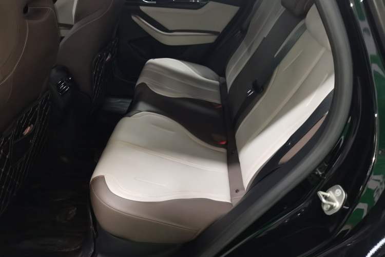 Used BYD Qin PLUS 2023 Champion Edition DM-i 55KM Leading Model Left Rear Seat