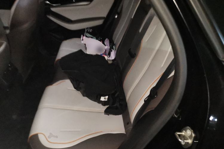 Used BYD Qin PLUS 2023 Champion Edition DM-i 120KM Excellence Model Left Rear Seat