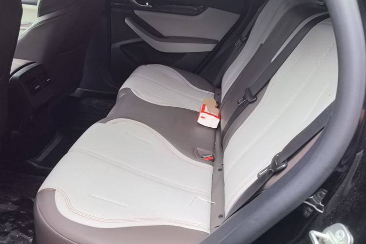 Used BYD Qin PLUS 2023 Champion Edition DM-i 120KM Leading Model Left Rear Seat