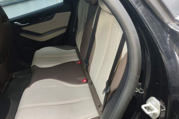 Used BYD Qin PLUS 2023 Champion Edition DM-i 55KM Leading Model Left Rear Seat