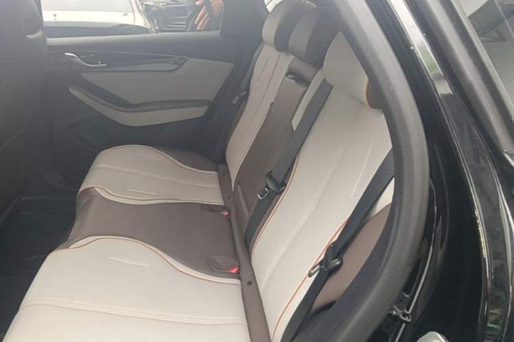 Used BYD Qin PLUS 2023 Champion Edition DM-i 55KM Superior Model Left Rear Seat