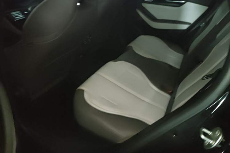 Used BYD Qin PLUS 2023 Champion Edition DM-i 55KM Leading Model Left Rear Seat