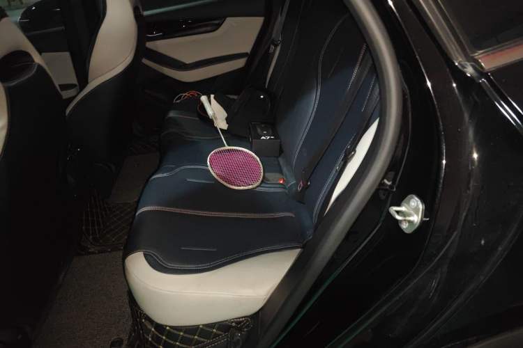 Used BYD Qin PLUS 2023 Champion Edition DM-i 55KM Leading Model Left Rear Seat