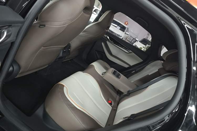 Used BYD Qin PLUS 2023 Champion Edition EV 510KM Leading Model Left Rear Seat