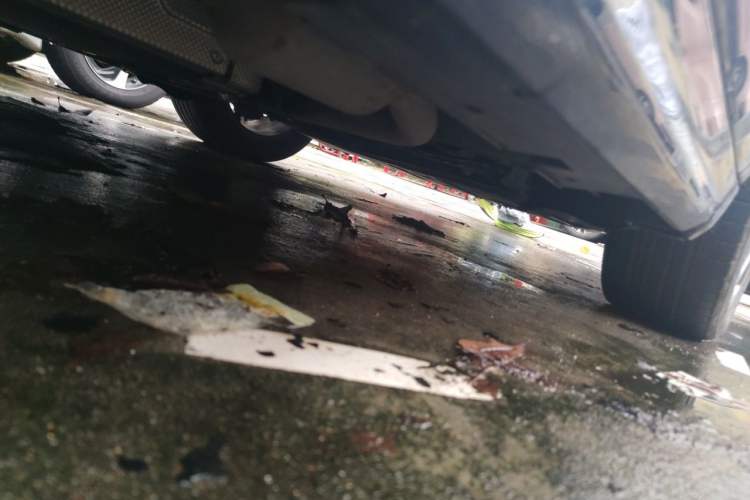 Used BYD Qin PLUS 2023 Champion Edition DM-i 120KM Leading Model Chassis Rear Right