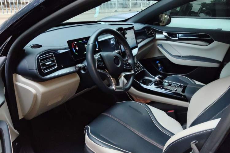 Used BYD Qin PLUS 2023 Champion Edition EV 420KM Superior Model Driver Seat