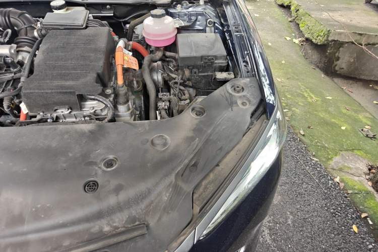 Used BYD Qin PLUS 2023 Champion Edition DM-i 55KM Leading Model Engine Bay Left