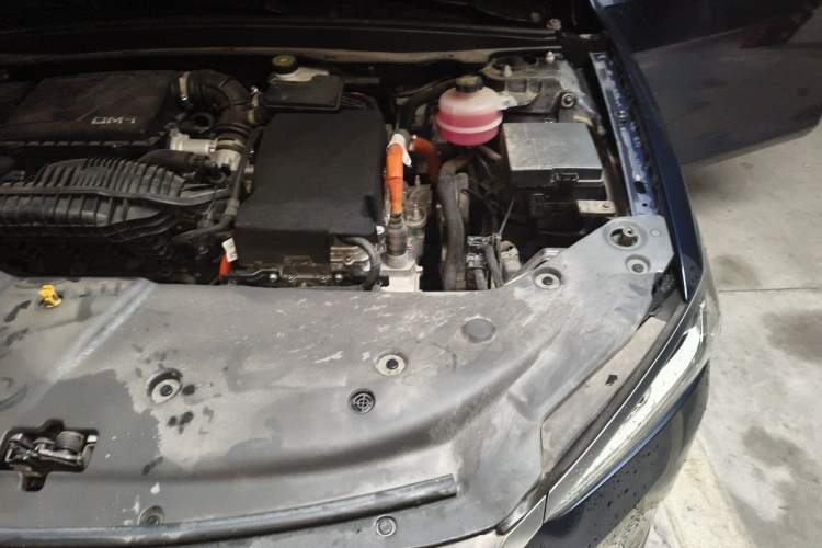 Used BYD Qin PLUS 2023 Champion Edition DM-i 55KM Leading Model Engine Bay Left