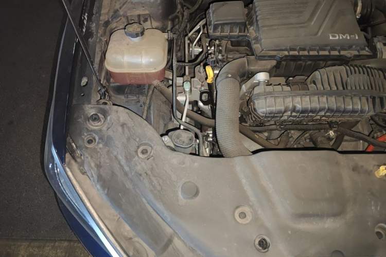 Used BYD Qin PLUS 2023 Champion Edition DM-i 55KM Leading Model Engine Bay Right