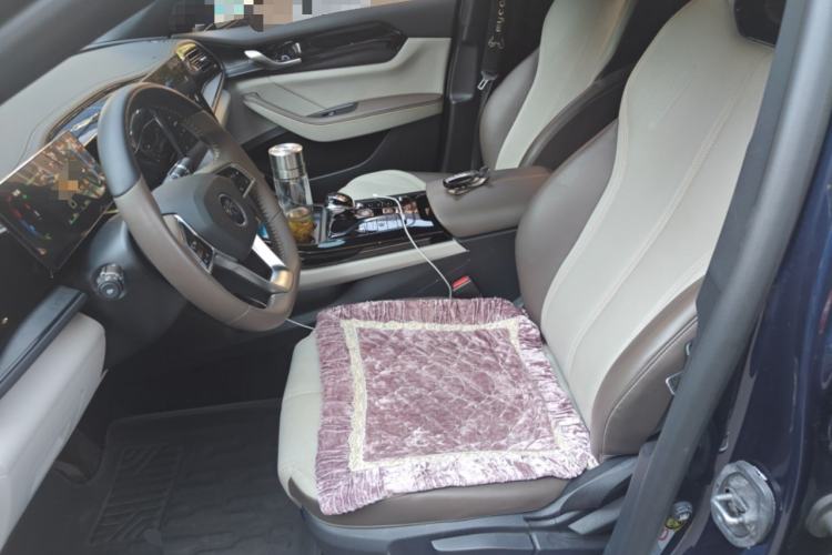 Used BYD Qin PLUS 2023 Champion Edition DM-i 55KM Leading Model Left Front Seat