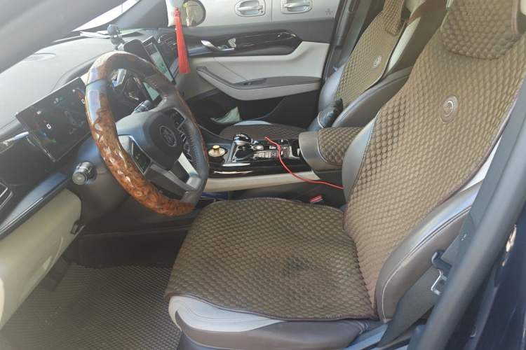Used BYD Qin PLUS 2023 Champion Edition DM-i 55KM Leading Model Left Front Seat