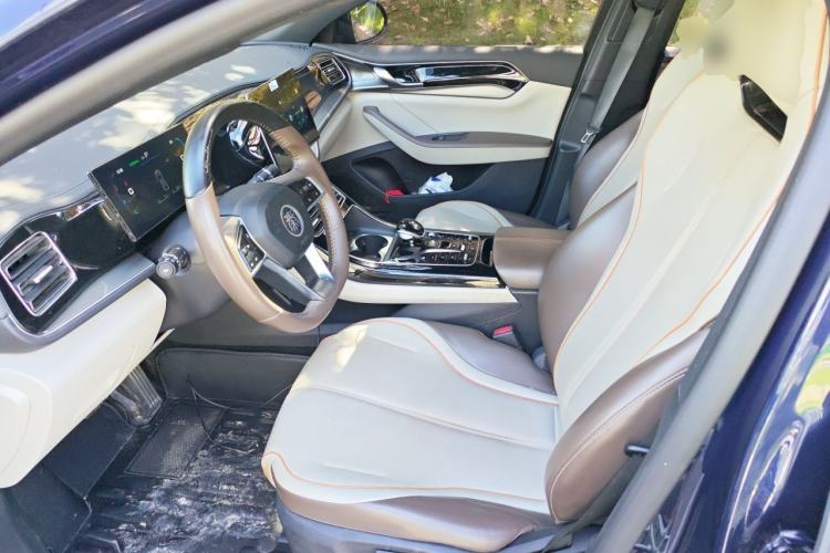 Used BYD Qin PLUS 2023 Champion Edition DM-i 120KM Leading Model Left Front Seat