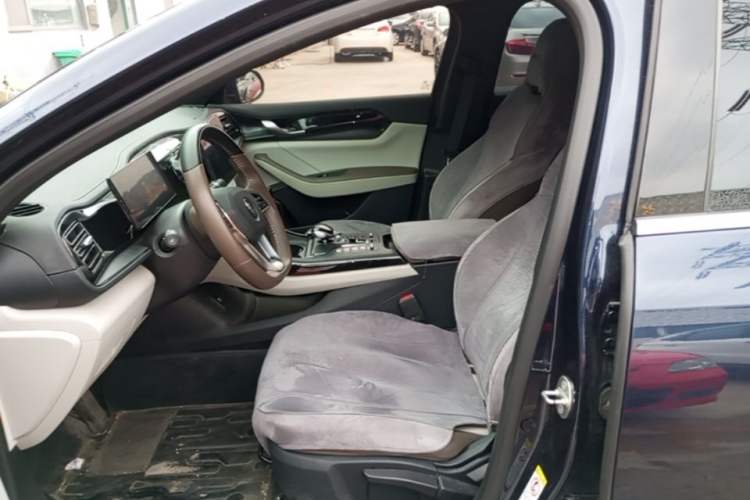 Used BYD Qin PLUS 2023 Champion Edition DM-i 55KM Leading Model Left Front Seat
