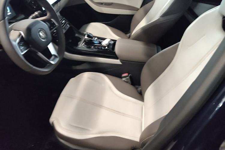 Used BYD Qin PLUS 2023 Champion Edition DM-i 55KM Leading Model Left Front Seat